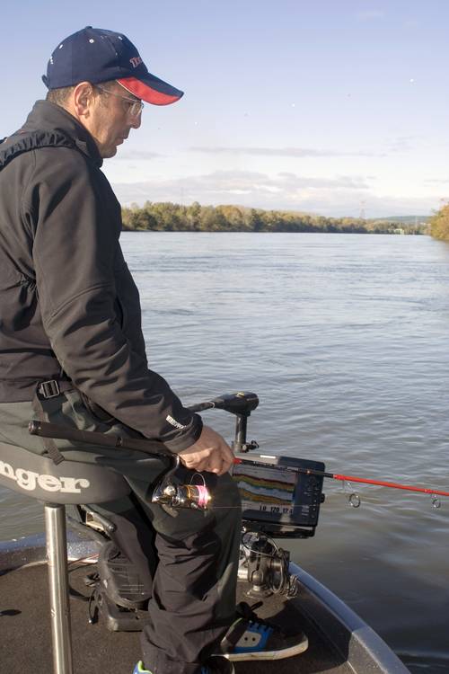 Pêche du sandre en verticale sur le Rhône